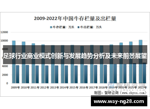足球行业商业模式创新与发展趋势分析及未来前景展望 足球行业商业模式创新与发展趋势分析及未来前景展望