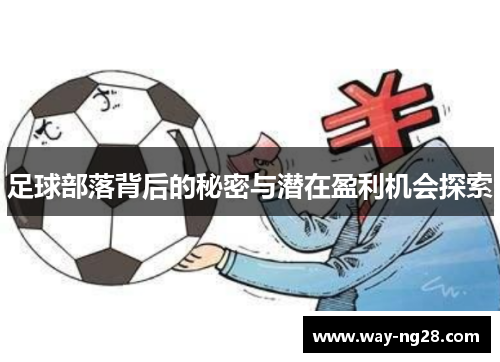 足球部落背后的秘密与潜在盈利机会探索 足球部落背后的秘密与潜在盈利机会探索