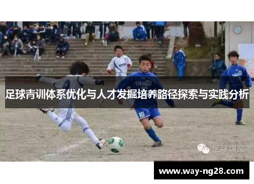 足球青训体系优化与人才发掘培养路径探索与实践分析 足球青训体系优化与人才发掘培养路径探索与实践分析